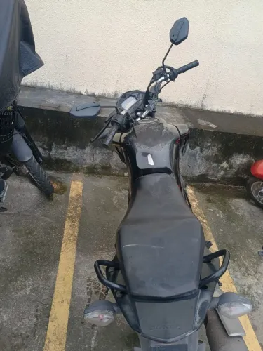 Fan 2021 2022