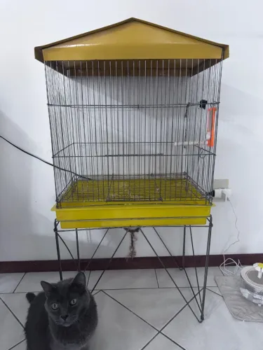 Vendo Gaiola e viveiro de pvc