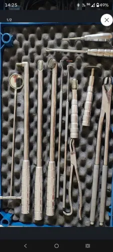 Odontologia Equina