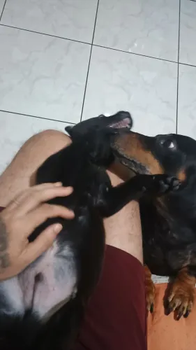 Doação Responsável 