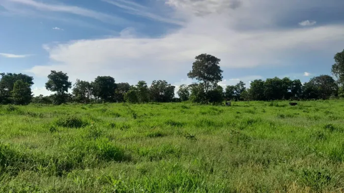 Fazenda 163 Hectares/Energia trifásica e 2 km Margem de rio...Região Jequitaí..
