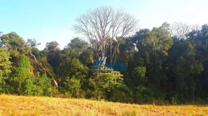 CHÁCARA À VENDA SERRINHA | CONTENDA/PR Área total: 6.050,00 m²