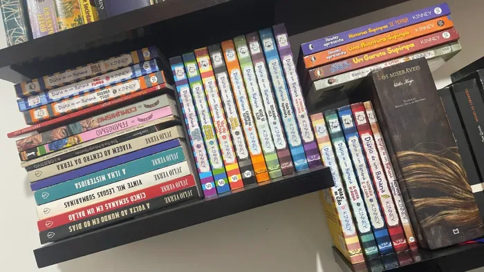 Box livro Diário de um banana