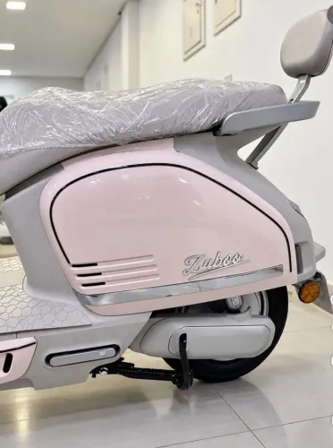 Scooter Eletrica Zoob Paris na garantia