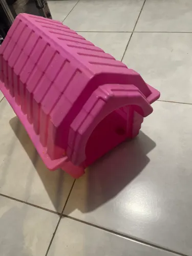 Casinha cachorro fêmea 