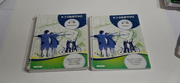 2 Apostilas 6-SL teoria e exercícios