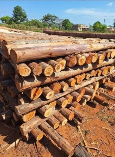 Estaca de eucalipto para cerca 2.20mt nao e tratada 