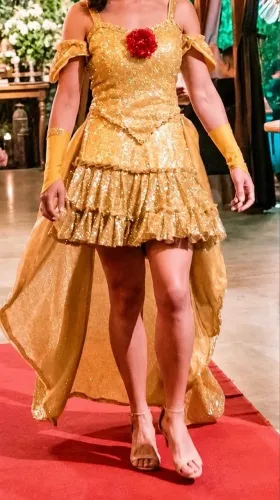 Conjunto com Saia extra longa - Fantasia da Bela e a Fera