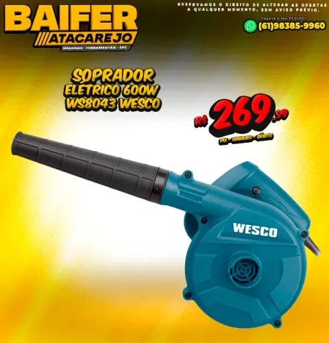 Soprador 600w Elétrico Ws8043 Wesco