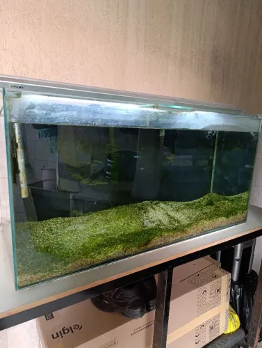 Aquário 200litros com Canister 