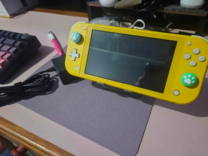 Nintendo Switch Lite + cartão MicroSD de 128gb + capa