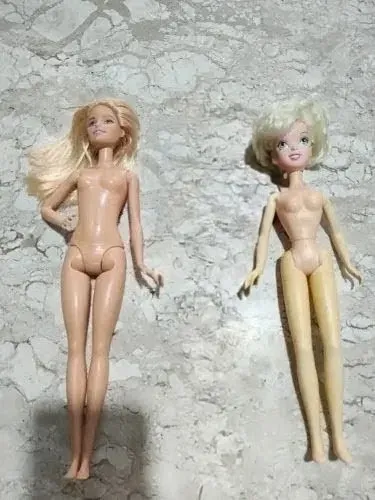 Lote barbie