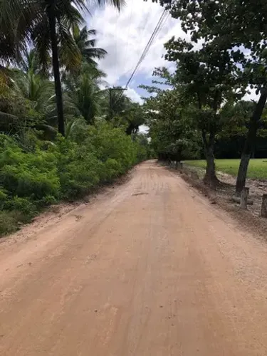 Terreno em São Miguel dos Milagres