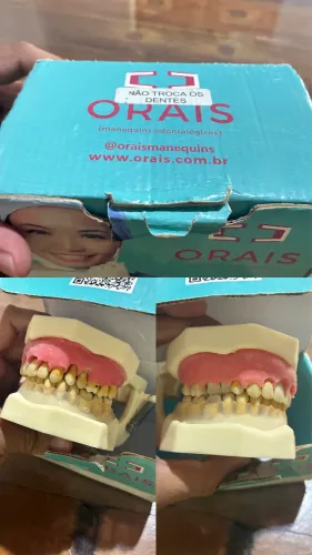 MANEQUIM ODONTOLÓGICO - PERIO