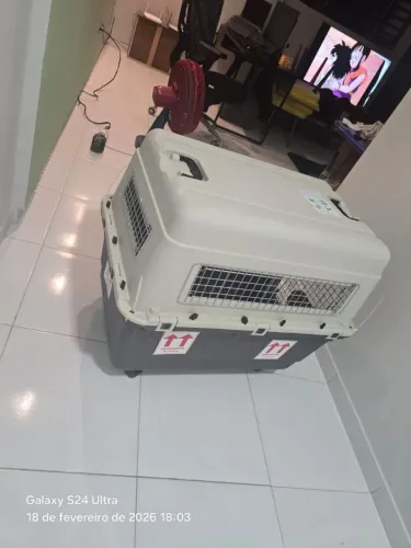 Caixa grande de transporte avião de Pets