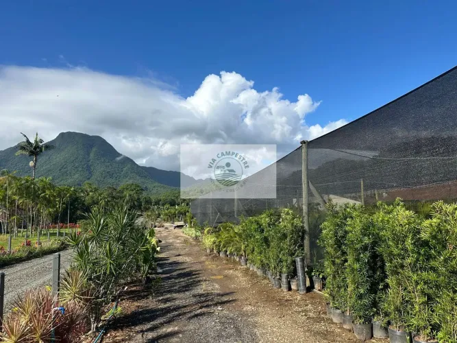 Sítio com 8.300 m², frente para o asfalto em Pirabeiraba, analisa permuta parcial