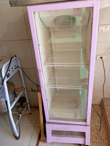 Freezer Expositor 