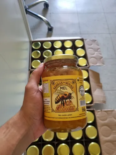 Pote de Mel puro de MG 750g