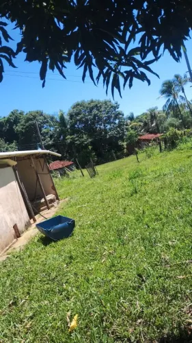 SITIO BEM LOCALIZADO CIDADE SABINO- SP