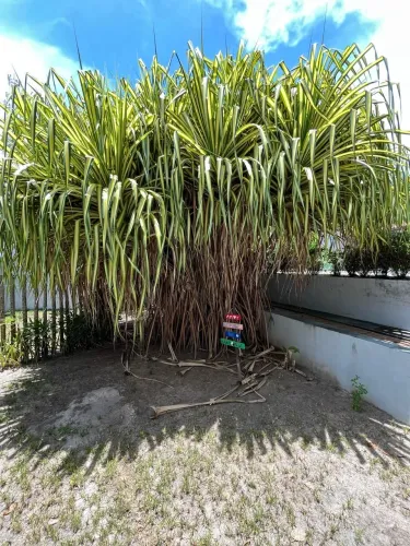 Casa à venda no bairro Riacho Doce - Maceió/AL