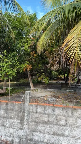 Vendo 3 terrenos 36x30 localidade pau pombo no Iguape