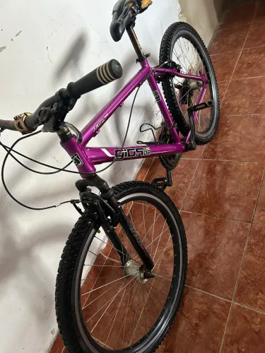 Bicicleta