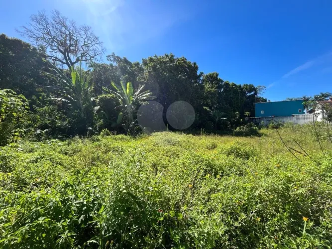Terreno à venda em Morada da praia - SP