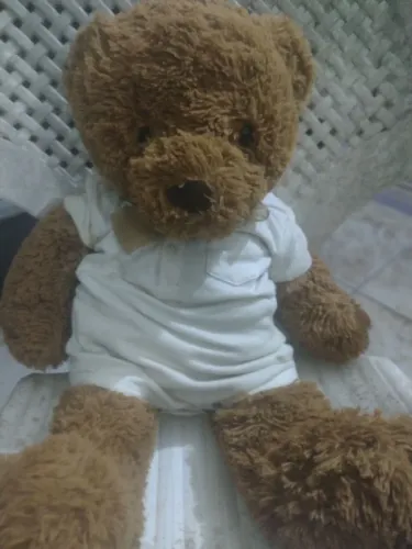 Urso de pelúcia ?