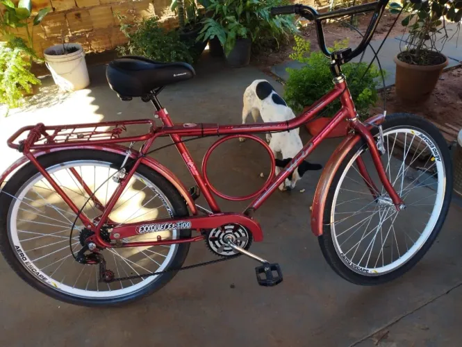 Bike monark semi nova 