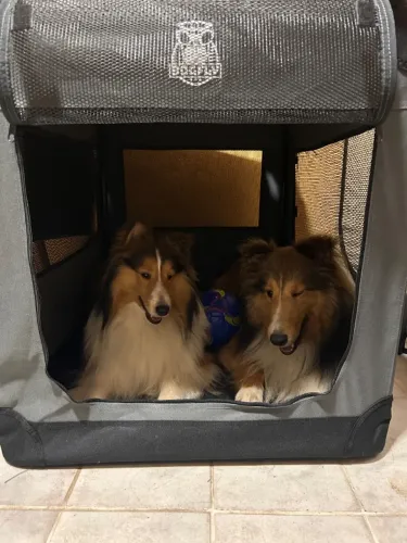 Casinha De Transporte Pet Dobrável Dogfly Carry On 2xg Cor Cinza-escuro