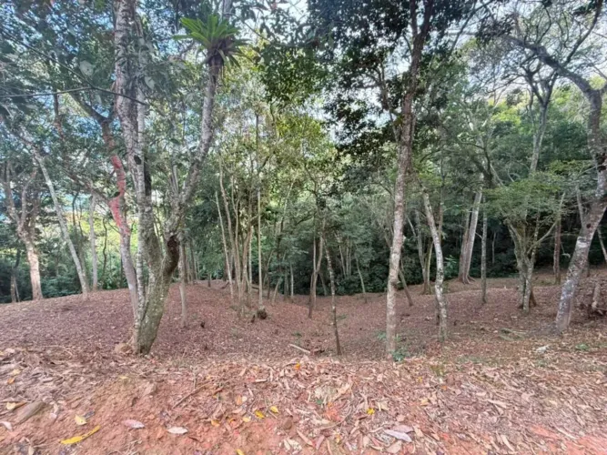 LOTE CANTO DA PRAIA REF: T3-50742