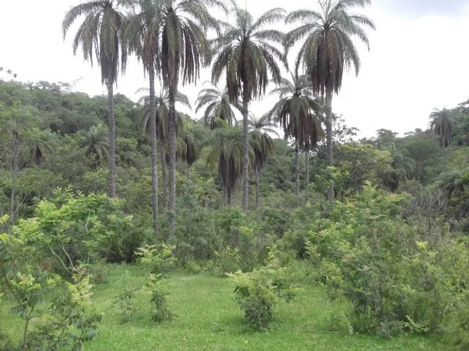 Lote rural de 36.000m ²,belíssima vista, nascente de água, Serra do Cipo.