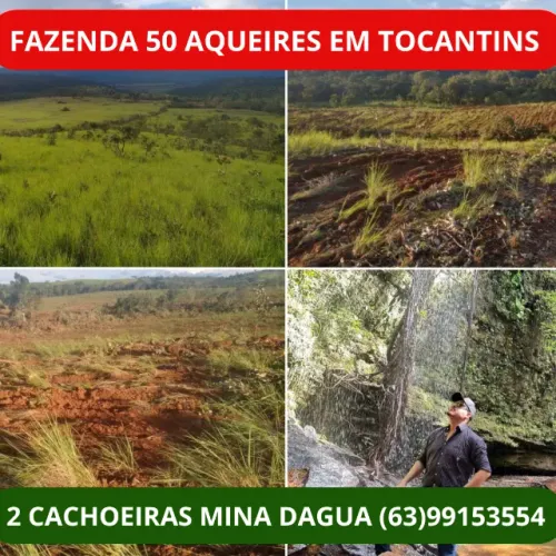 Fazenda 50 alqueires, Terra muito boa, Preparada para criação de Gado ou para Plantação