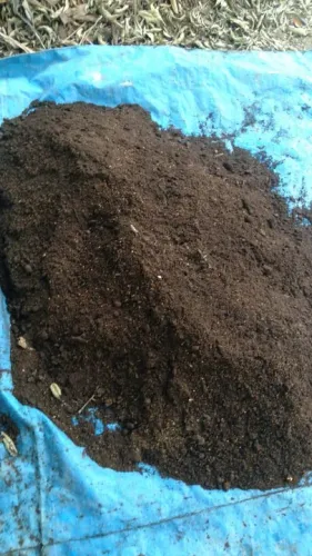 Terra Com Adubo Orgânico Concentrado + Paú + Esterco de Gado 45kg