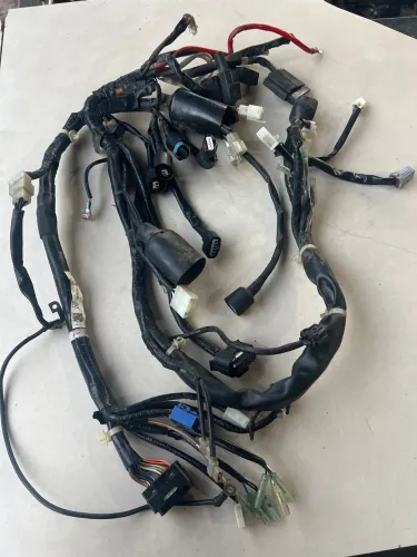 Rabicho Principal Yamaha Fazer Fz15 2023 Original 