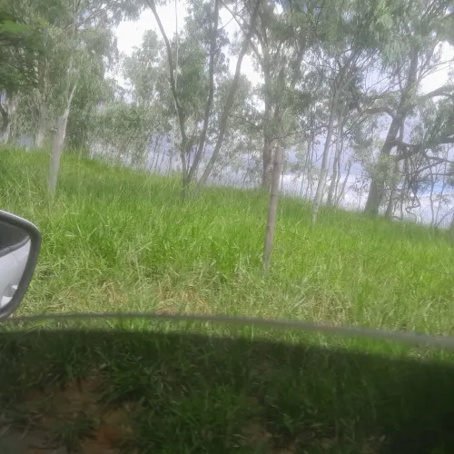 Terreno rural em itaguara