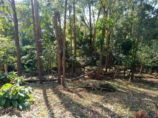 Terreno para Venda em Florianópolis, Pantanal