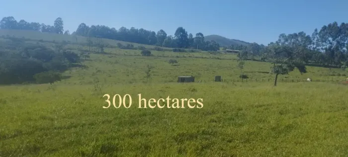 Fazenda em Oliveira  316 hectares plantações diversas  café, soja e criação de gado otima 