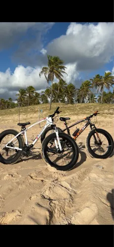 Fat bike
