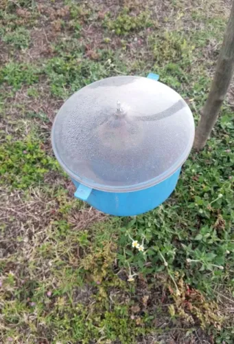 armadilha porta isca para moscas