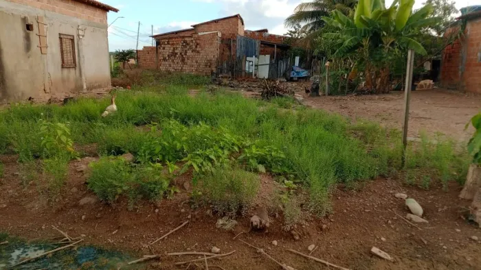 Terreno 