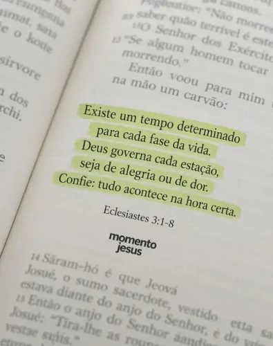 Ajudante de mudança 