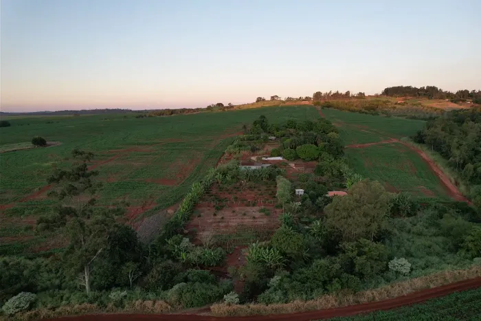 Vende se chácara região da Warta - Londrina 