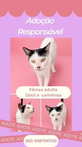 ADOÇÃO RESPONSÁVEL
