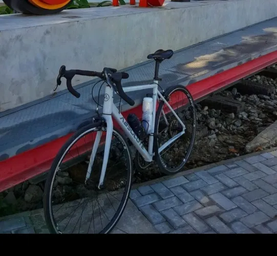 BICICLETA SPEED ABSOLUTE WILD R