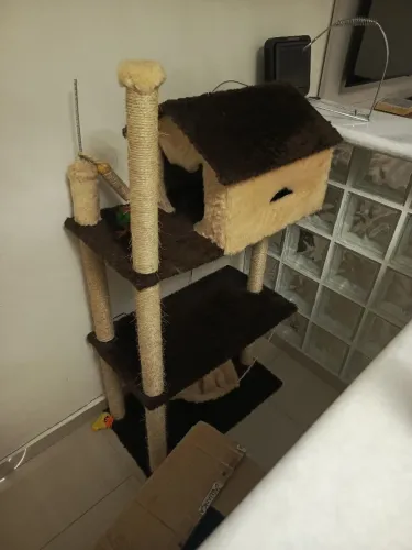 Apartamento ara Gatos