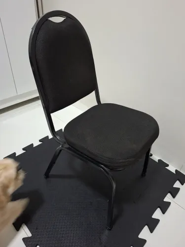 Cadeira Empilhável Coletiva da Cavaletti