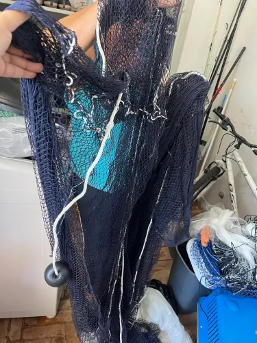 Pesca
