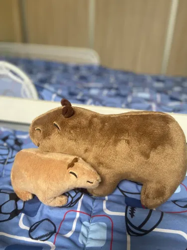 Pelúcia capivara 