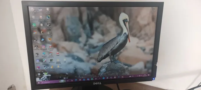 Monitor Dell E1911 18 polegadas (com cabos)